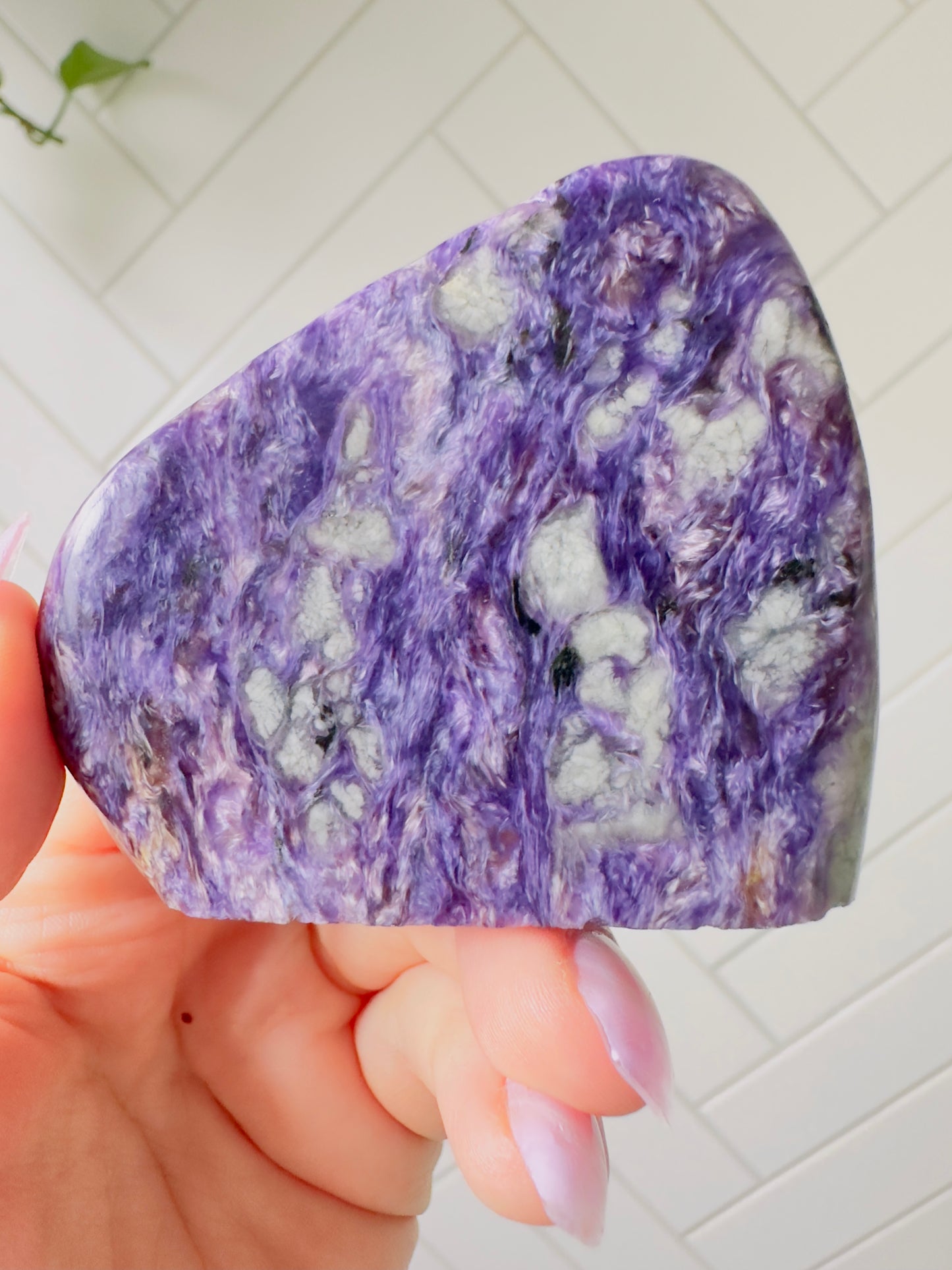 Charoite Freeform