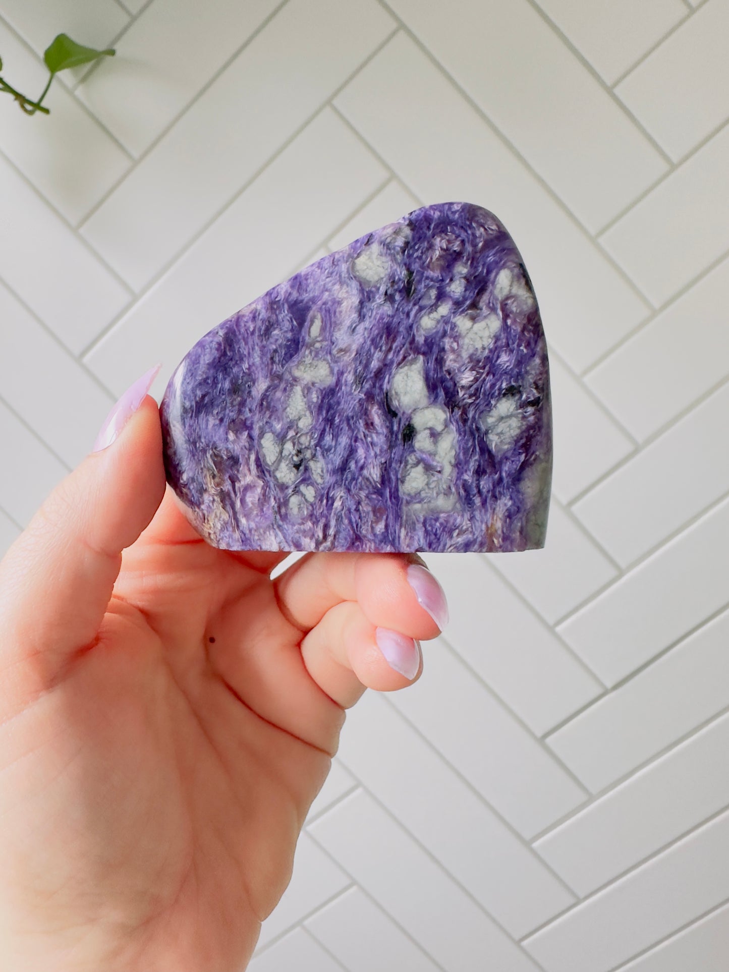 Charoite Freeform